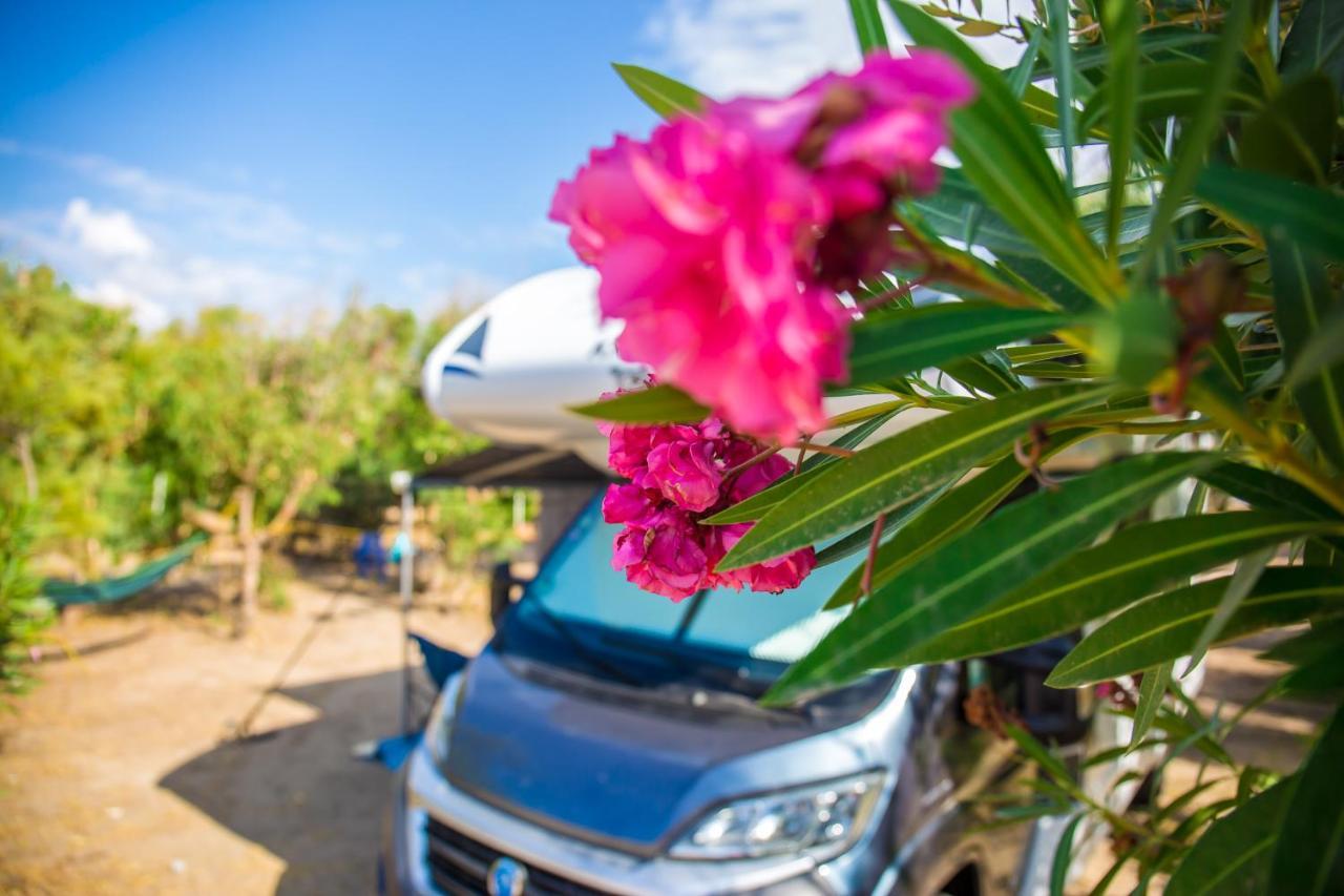 Village & Camping La Foce ヴァッレドーリア エクステリア 写真
